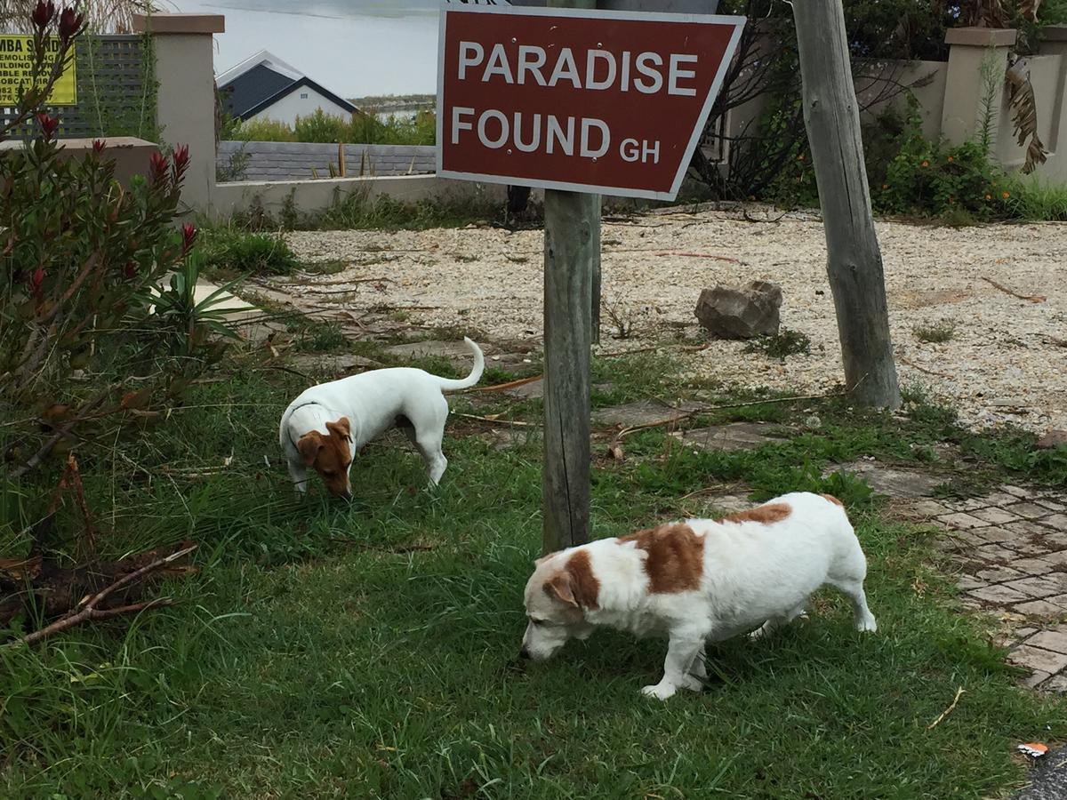 Paradise Found Knysna Luaran gambar